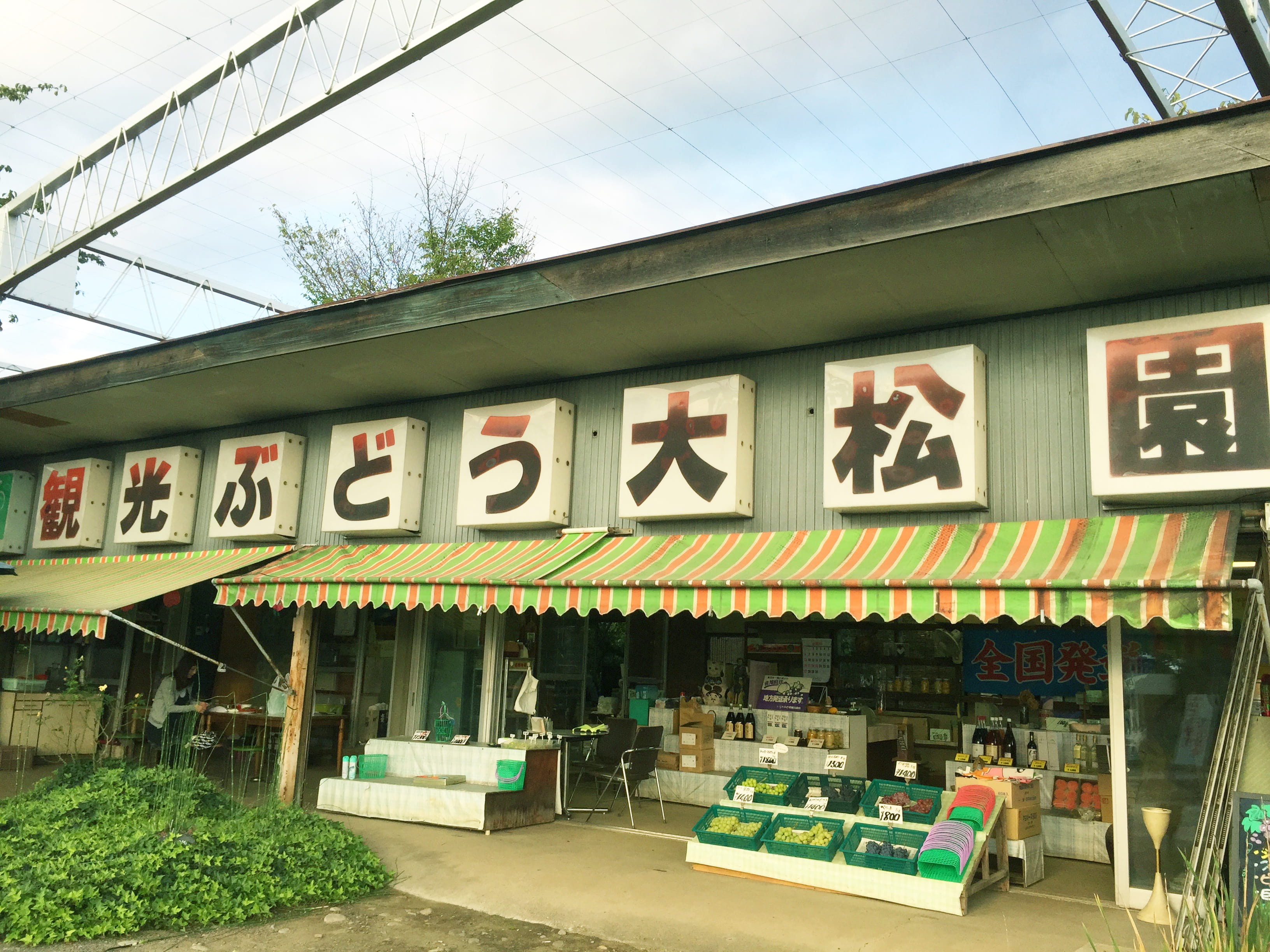 観光ぶどう大松園