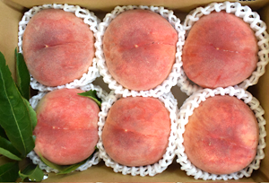 産地「山梨県」の低農薬の桃/1.5kg(5～6玉)